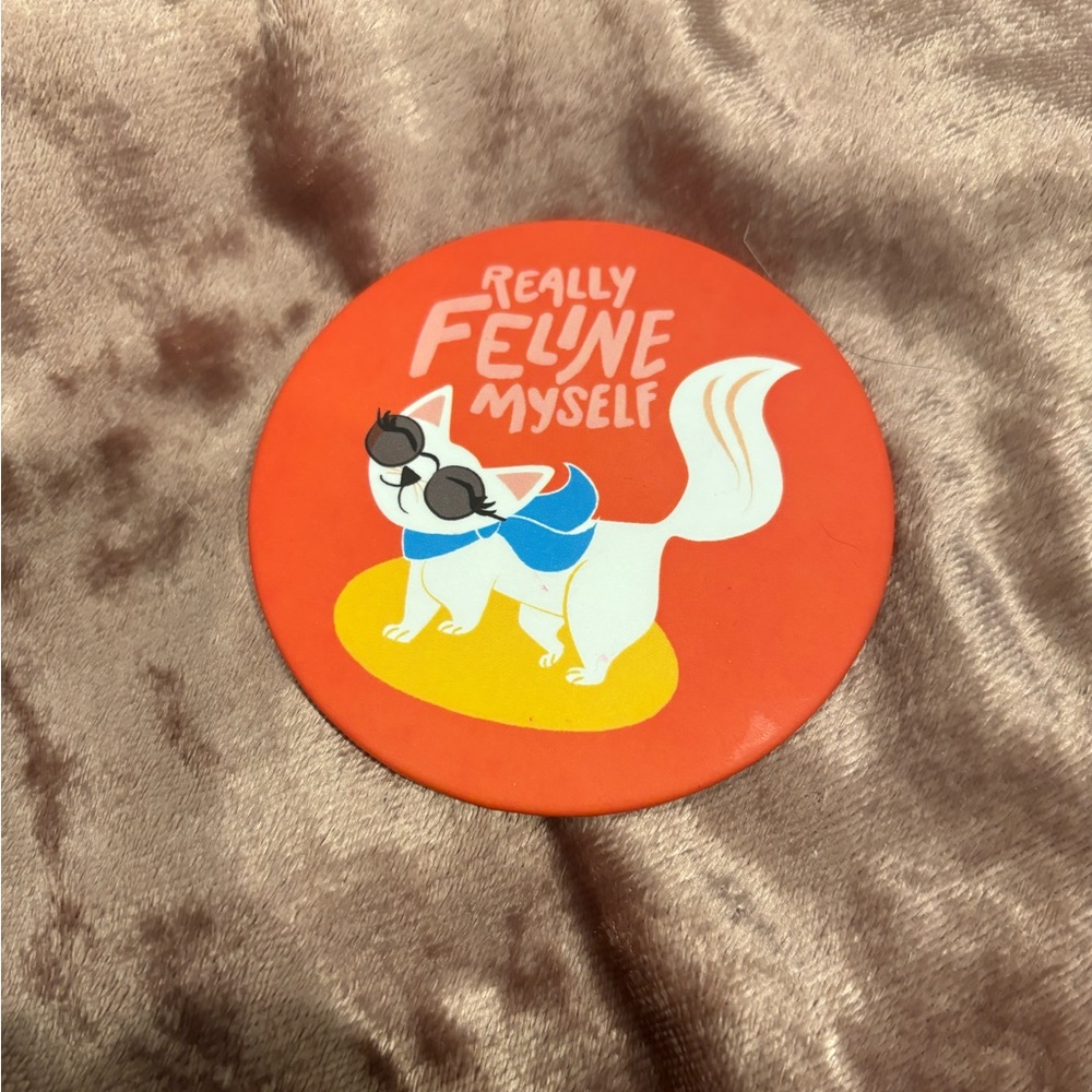 Cute handheld cat mirror